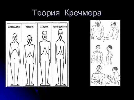 Э кречмер строение тела и характера