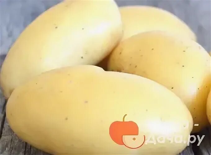 Картофель чувашия. Картофель чувашия