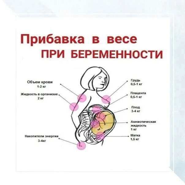 Почему при беременности набирается вес. Нормы прибавки веса при беременности 2 триместр. норма прибавки веса у беременных по неделям. норма прибавки веса при беременности по неделям. норма прибавки веса при беременности по неделям 2 триместр.