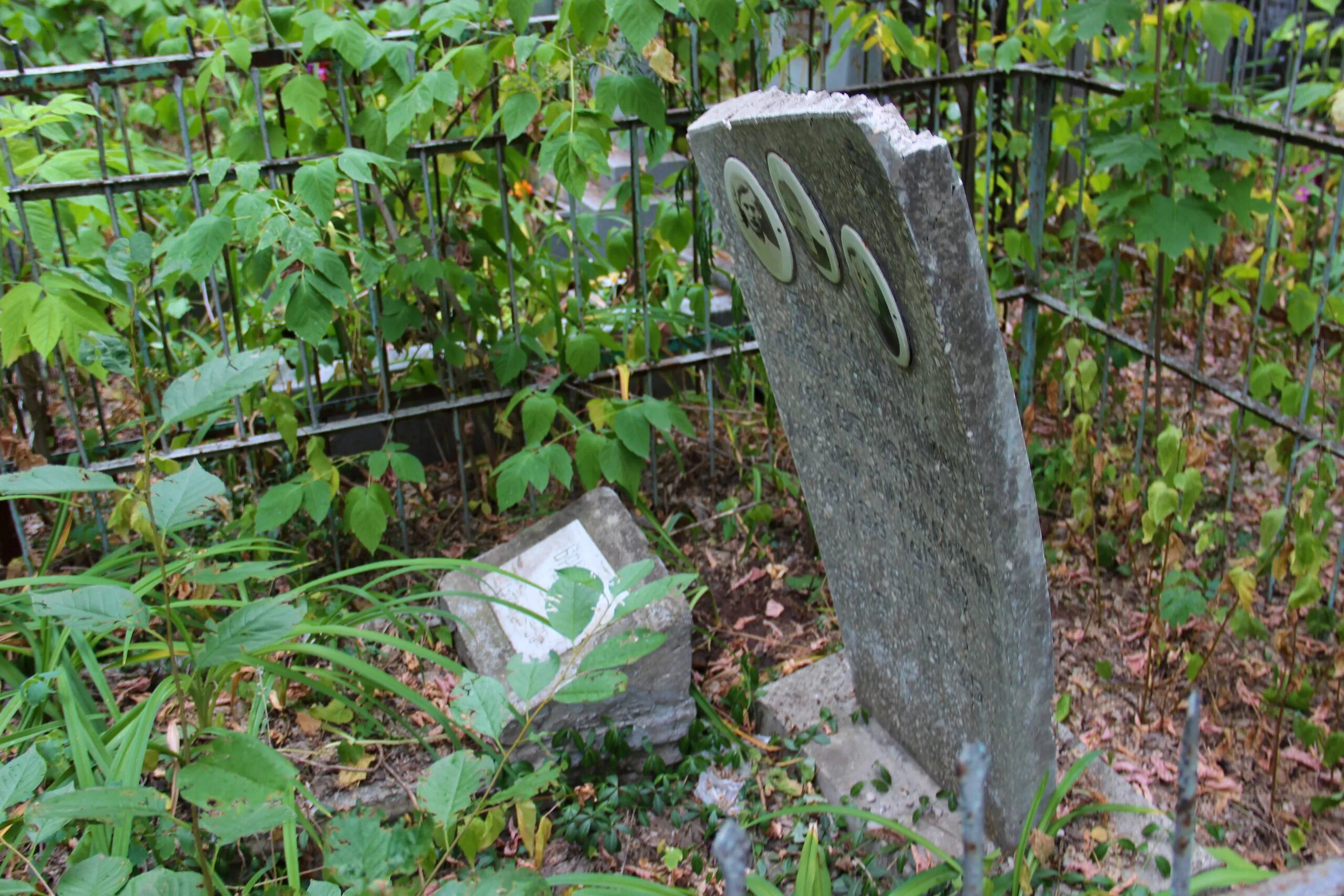 Похоронить самара. Старое городское кладбище Самара. Городское кладбище Березники. Кряжское кладбище Самара. Канаш кладбище городское.