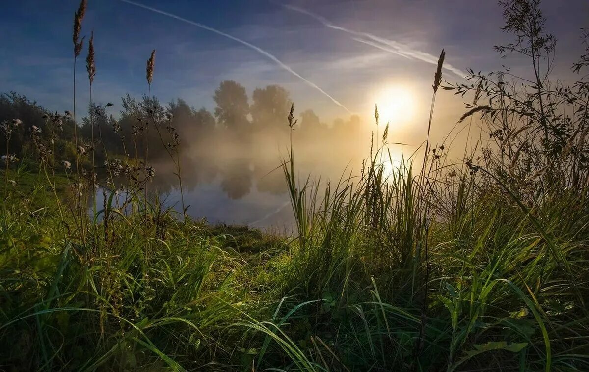 Утро. Утро картинки. Красивые утренние фотографии. Потрясающее утро.