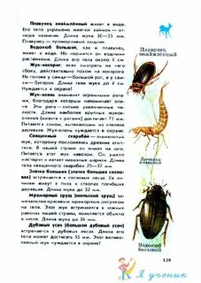Атлас определитель 1 класс окружающий насекомые