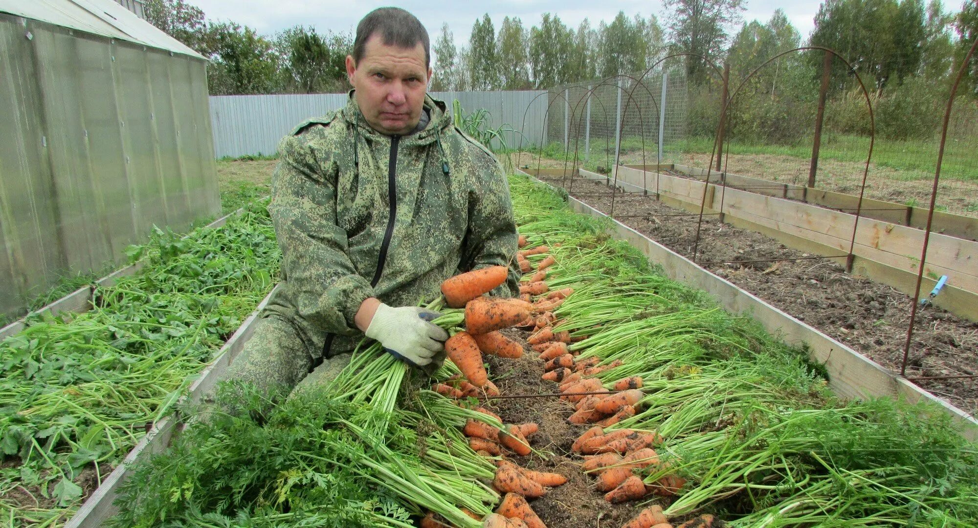 Какие овощи сажают на огороде. Овощи на грядке. Огород урожай. Морковь на грядке. Морковь в огороде.