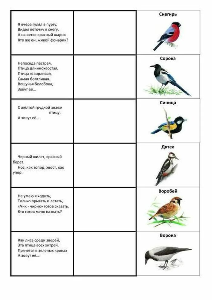 Загадки про птиц 4 лет. Загадки о зимующих птицах для детей 5-6 лет. Загадки про птиц зимой. Загадки для детей 5 лет про птиц. Загадки про зимующих птиц для детей 5-6 лет с ответами.