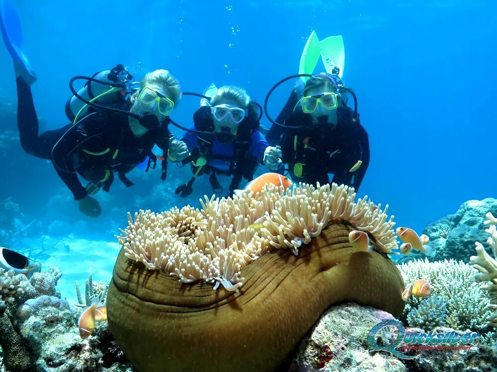 Reef tourism. Большой Барьерный риф (the great Barrier Reef). Дайвинг Австралия Барьерный риф. Дайвинг в Австралии большой Барьерный риф. Дайверы на большом барьерном рифе.