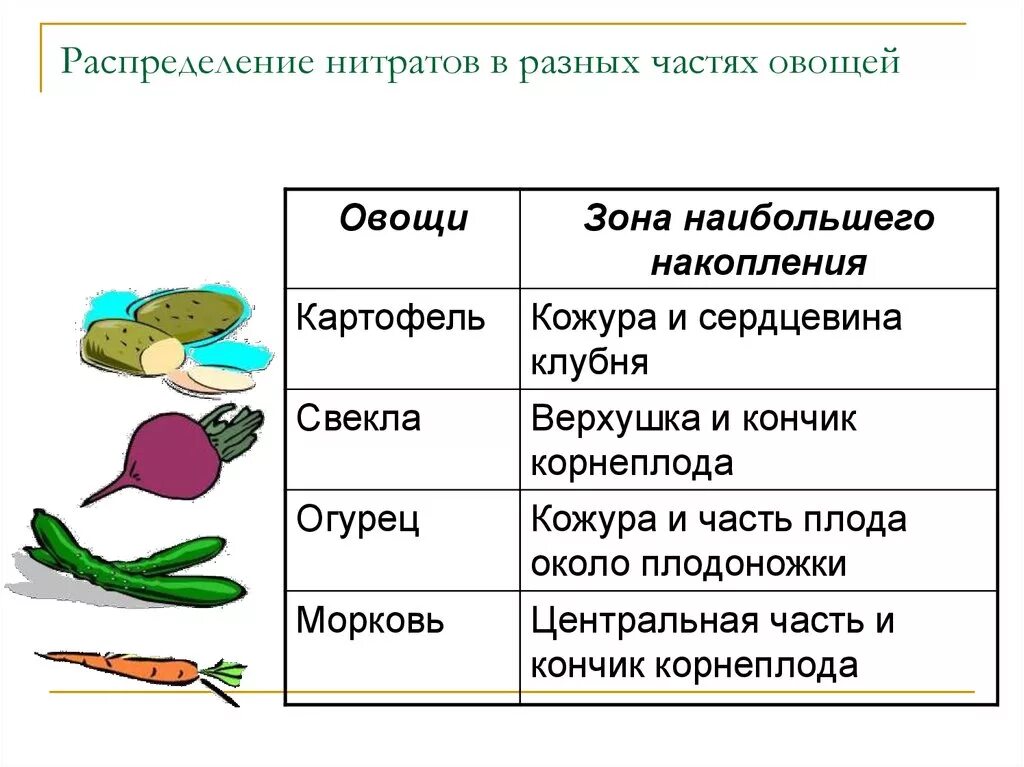 Содержание нитратов в овощах. Распределение нитратов в овощах. Нитраты в овощах и фруктах. Гденакапливаются Нитраи.