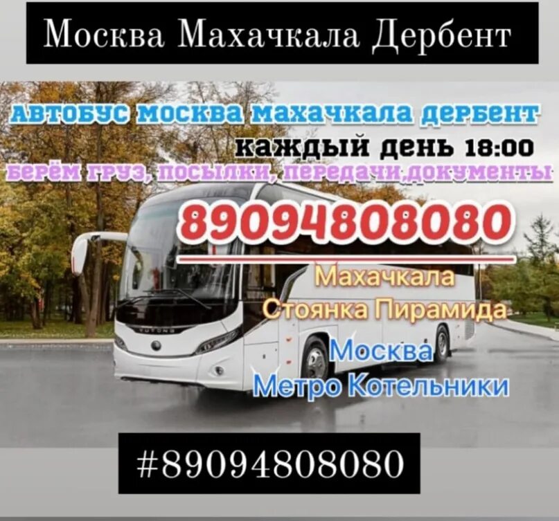 Автобус Москва Махачкала. Автобус Махачкала Сургут. Автобус Махачкала Москва пирамида. Автобус Махачкала.