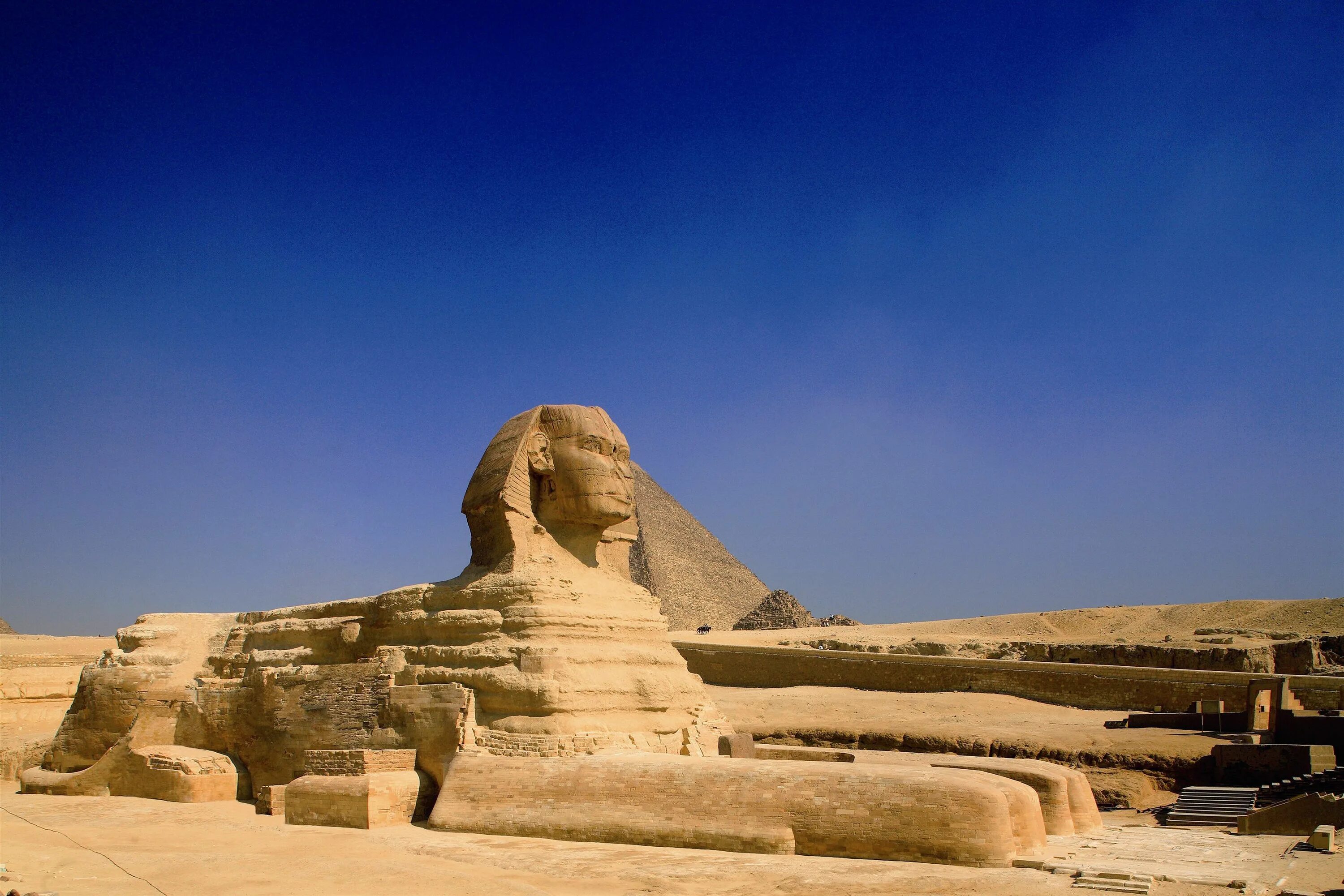 Сфинкс египет. Каир Египет сфинкс. Сфинкс в Гизе (пригород Каира). Пирамида Феникс в Египте. Sphinx Festival Каир.