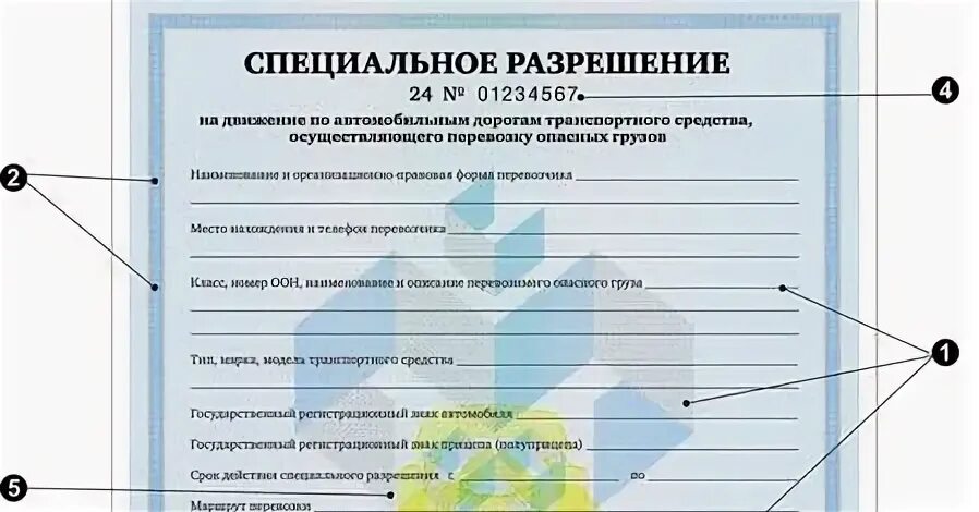 Особые разрешения