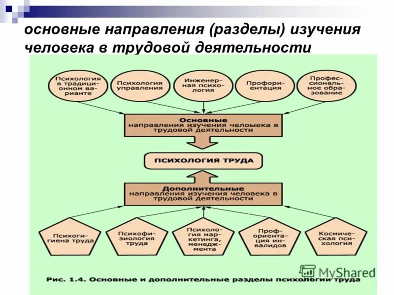 Основные направления трудовой деятельности. Основные направления исследований. Основные направления рабочей деятельности. Направления рабочий деятельности человека. Трудовая деятельность методика