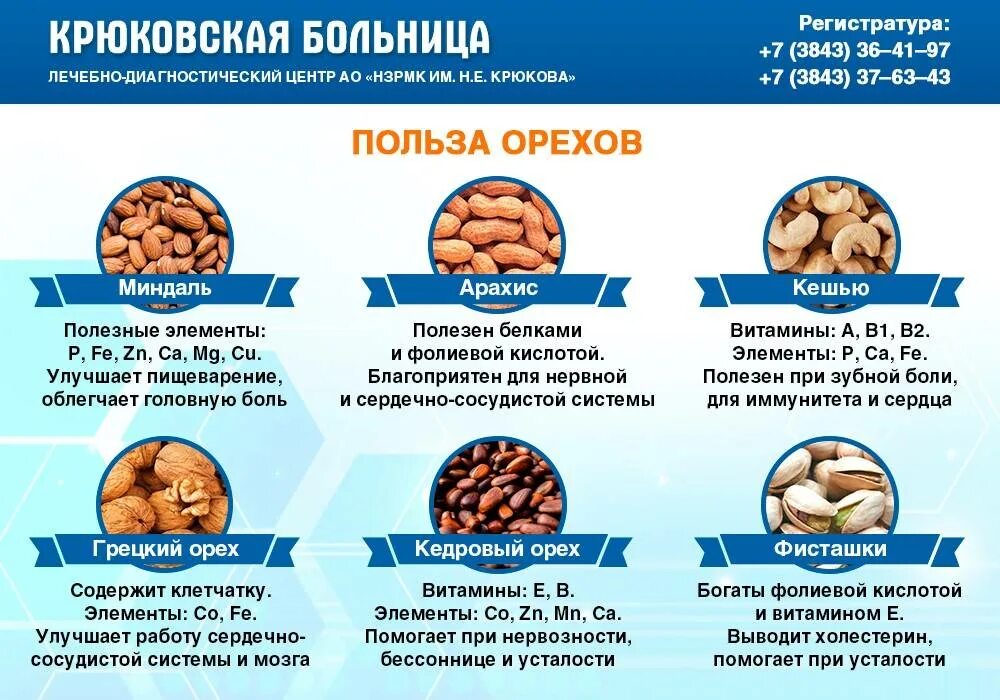 Польза орехов. Полезные орехи для организма. Самые полезные орехи. Самые полезные орехи для организма.