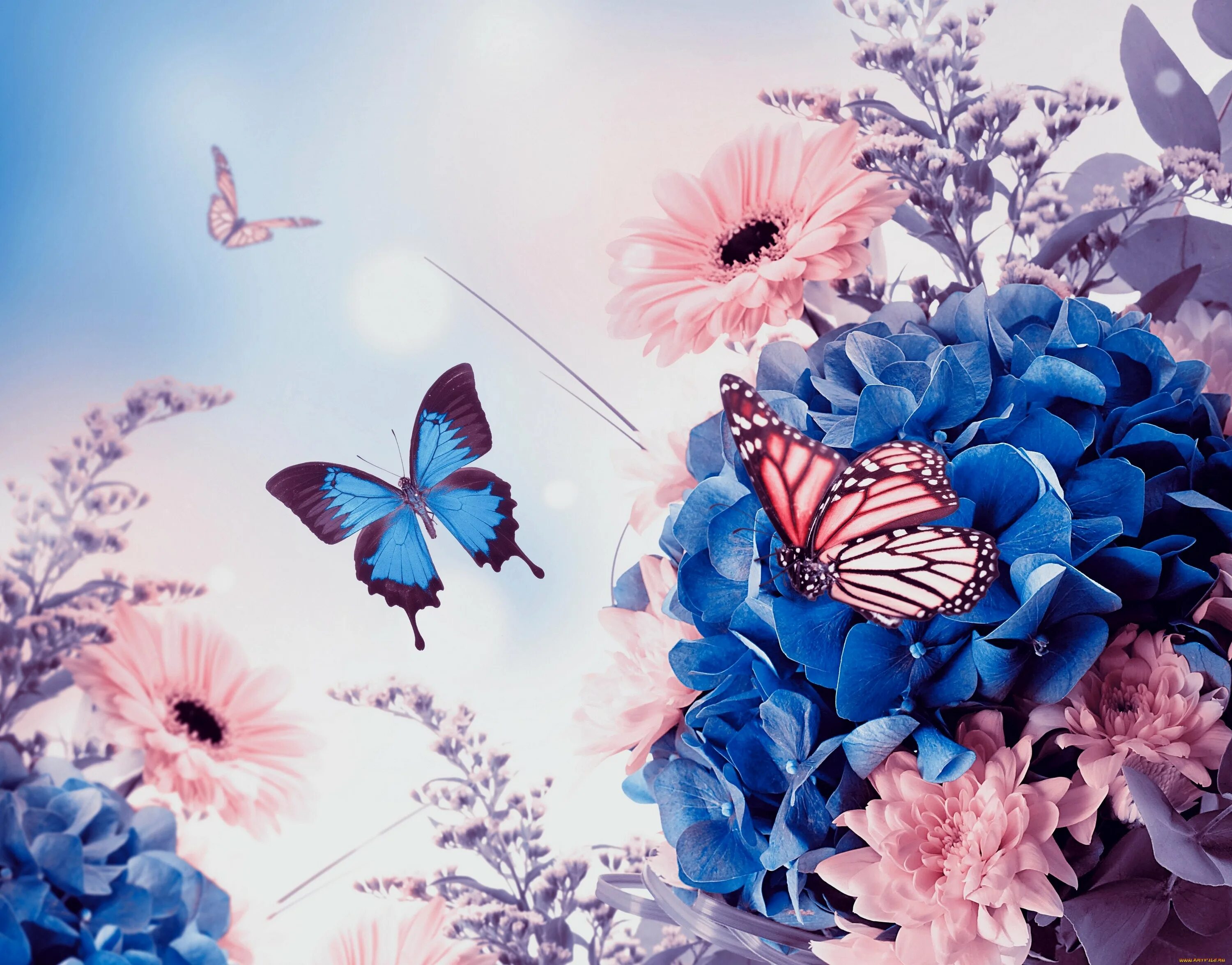 Розово голубые картинки. Красивые цветы и бабочки. Бабочка на цветке. Красивый букет с бабочками. Красивый фон с бабочками.