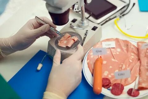 Лабораторная работа мяса