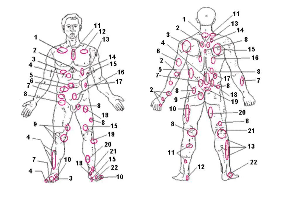 Точка спереди. Лимфоузлы на теле человека схема. Миостимуляция ягодиц схема наложения электродов.