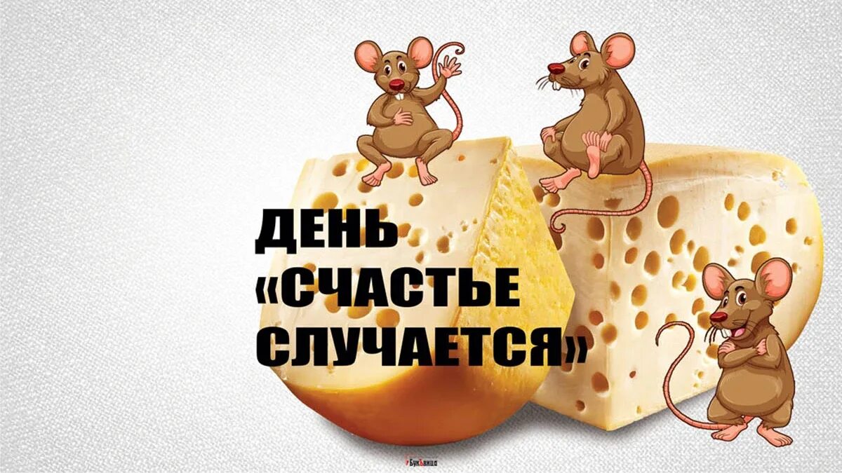 День счастье случается