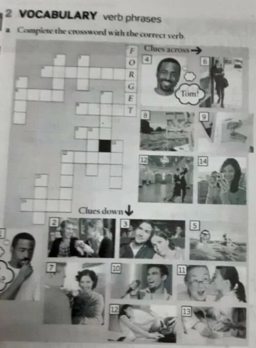 Complete the crossword down