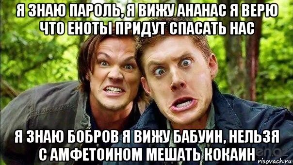 Я верю что еноты придут спасать. Я знаю пароль еноты. Мемы из фильмов и сериалов с надписями. Демотиваторы вера. Смешная песня.