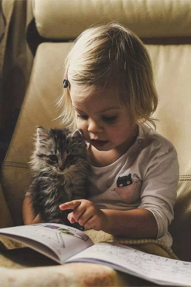 Любишь животных читай. Кот для детей. Котёнок-ребёнок. Для детей. Животные. Дети и коты.