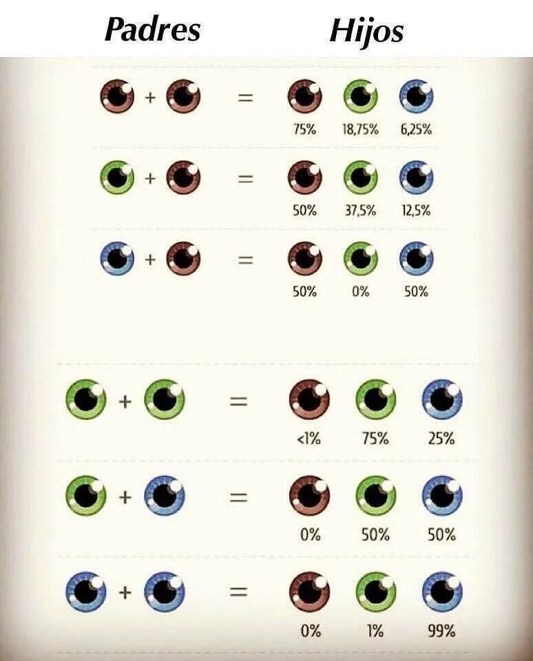 Какого цвета глазки. Таблица цвета глаз у ребенка. Цвет глаз родителей и детей. Цвет глаз ребенка. Цвет глаз родителей и детей таблица.