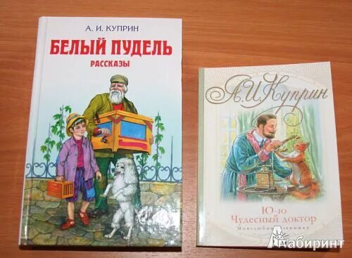 А. И. Куприн "белый пудель". Куприн ю-ю иллюстрации. Иллюстрация к рассказу Куприна белый пудель. Произведение четверо нищих