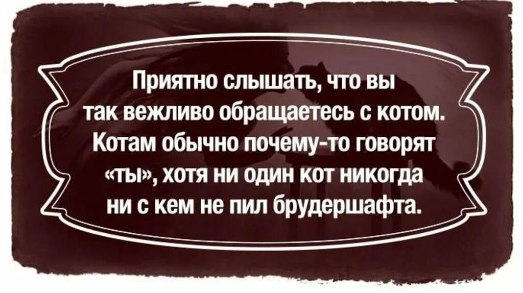 Мастер и маргарита цитаты. Цитаты из мастера и маргариты булгакова. Крылатые выражения из мастера и маргариты. Цитаты мастер и маргарита булгакова. Мастер и маргарита цитаты.