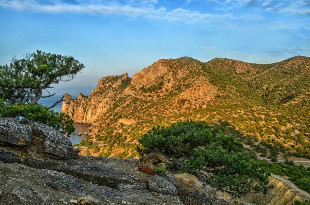 Крымский национальный заповедник Алушта. Алуштинский Крымский заповедник. Ялтинский Горно-Лесной природный заповедник Крым. Крымский природный парк Алушта.