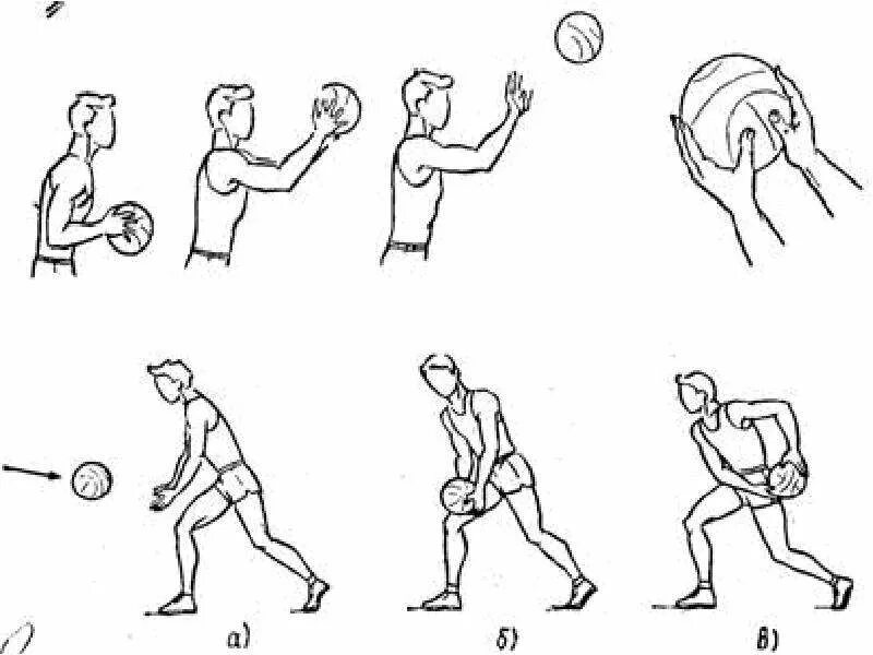 Технические элементы баскетбола. Техника баскетбола. Элементы техники баскетбола. Техника игры в баскетбол. Схемы упражнений в баскетболе.