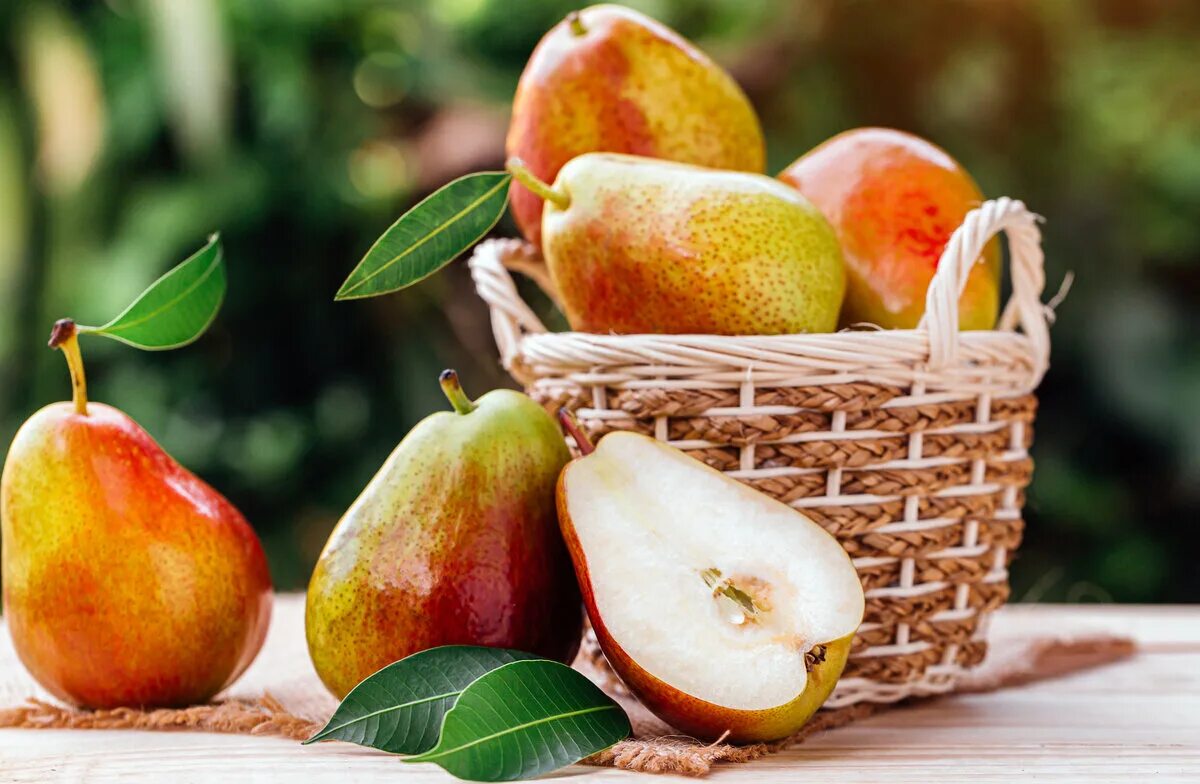 Sweet pear. Корзина с грушами. Груши в корзинке. Урожай груш. Корзина с яблоками и грушами.