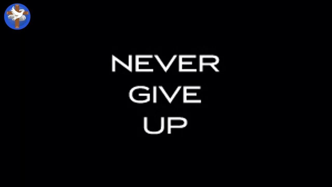 Never live up. Never never never give up. Never give up обои. Never give up картинки. Надпись never give up.