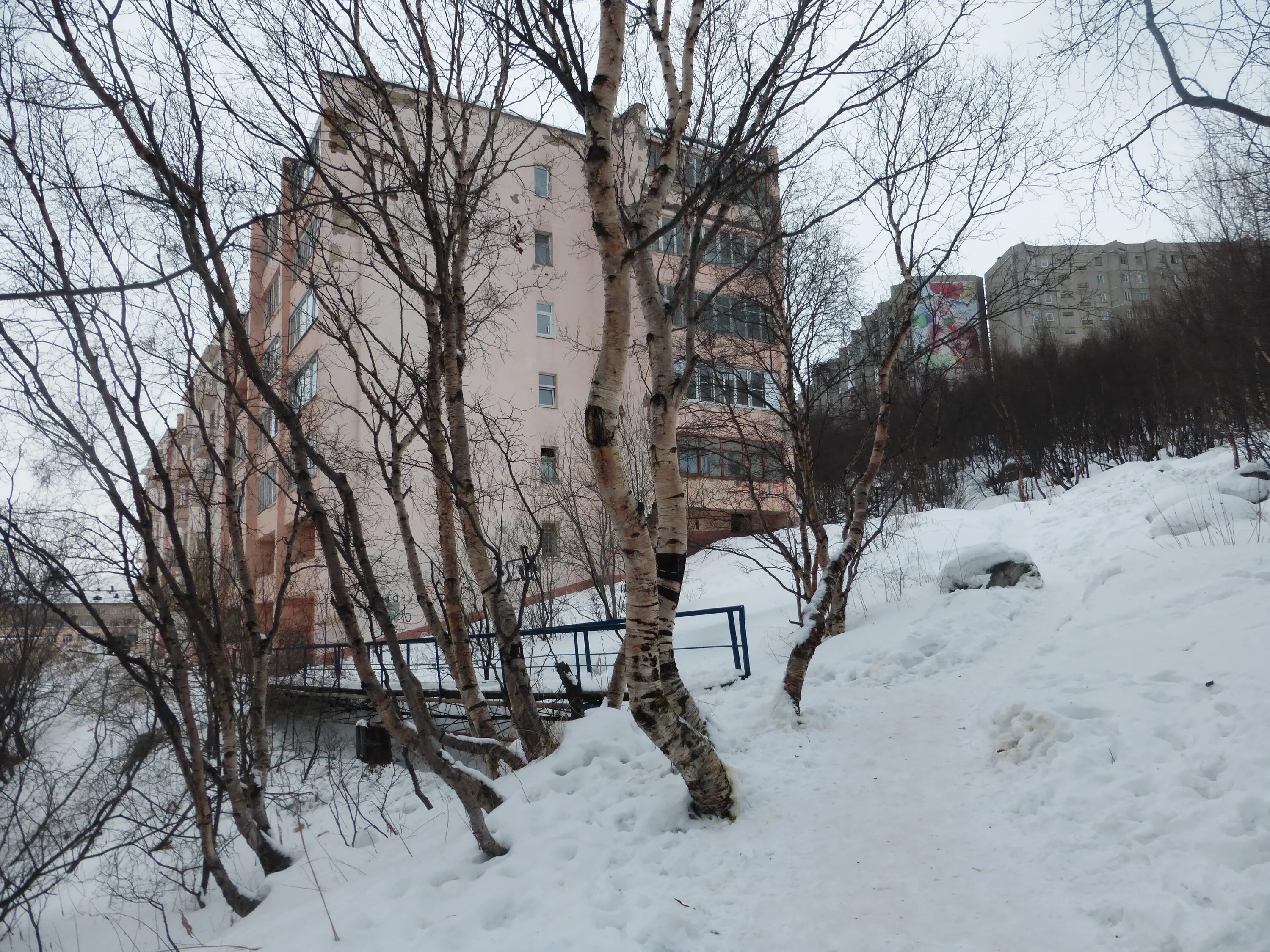 Душенова ул. Североморск ул Душенова. Североморск ул Душенова 13. Душенова 28 Североморск. Душенова 11 Североморск.