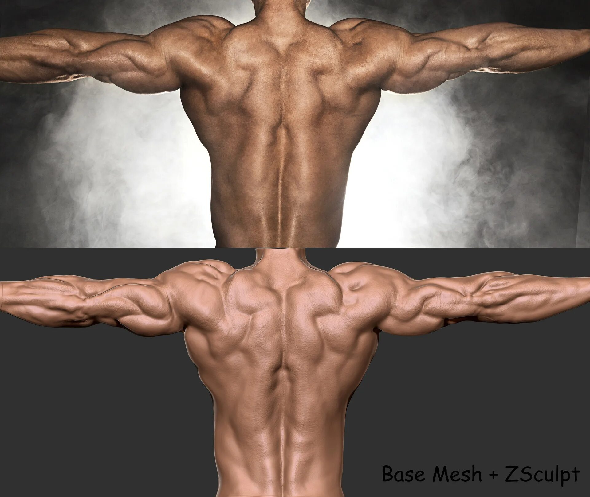 Back ref
