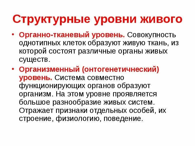 Система тканевого уровня
