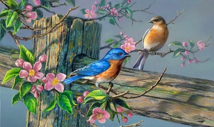 Диаметр 21см. Bird drawings, Bird art, Painting