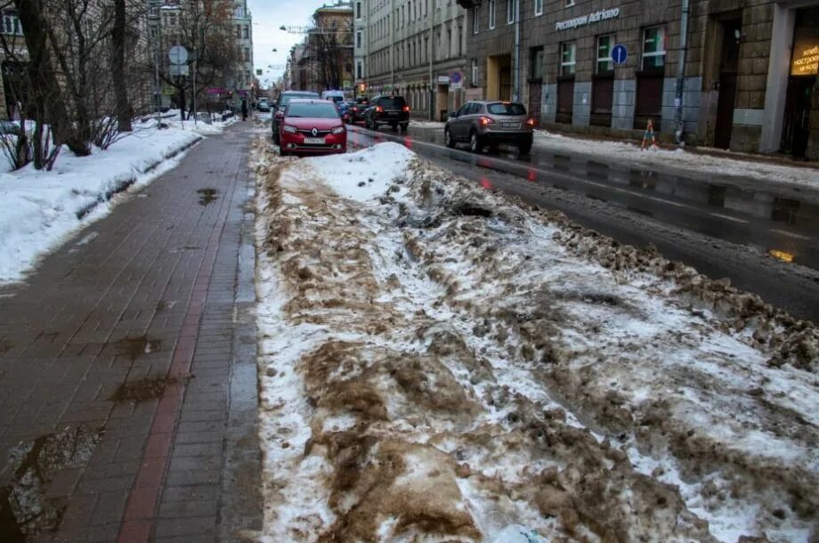 В петербурге выросло число