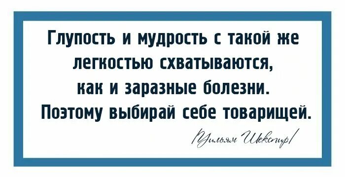 Мудрая глупость. Глупые мудрости. Афоризмы про глупость. Цитаты про мудрость и глупость.