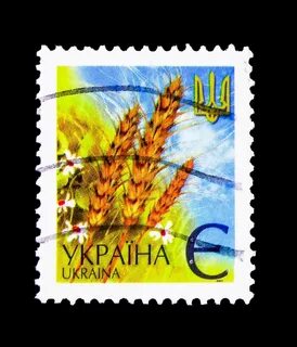 Image of ukraine, antique, design - 116026808 