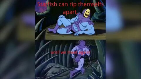 Skeletor's fact! 