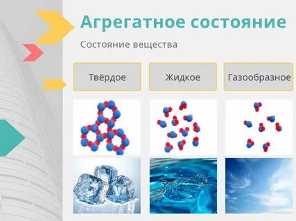 Дерево состояние вещества