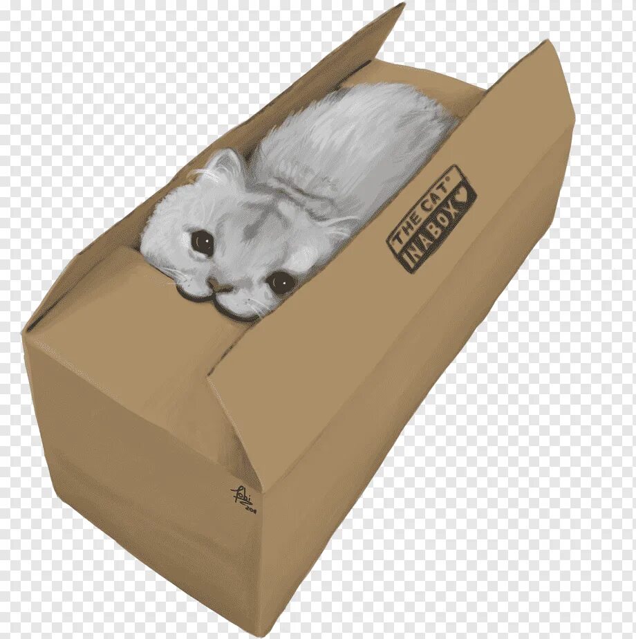 Картон кэт. Коробка картонная для кота. Кот картон Кэт. Кот в коробке стикер.