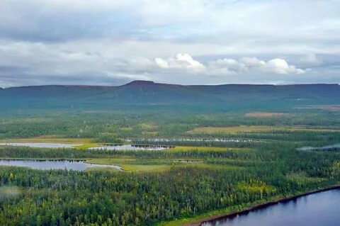 Только вертолетом. Топ самых таинственных лесов в России Аргументы и факты - aif