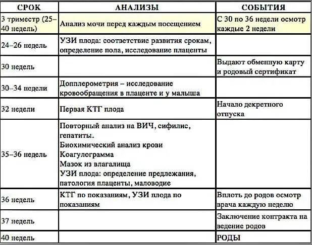 Врачи в первом триместре