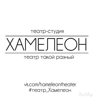 Студия хамелеон