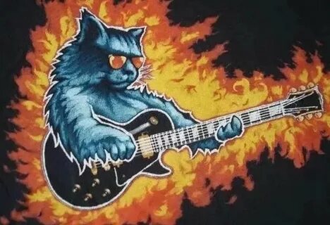 Rock cat записи