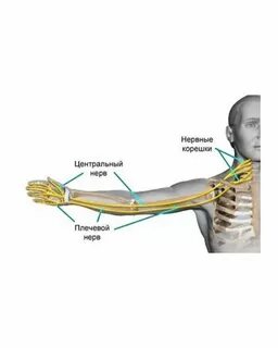 ОНЕМЕНИЕ - ловушка нерва ❌ Татьяна Зырянова Массаж лица и тела Дзен