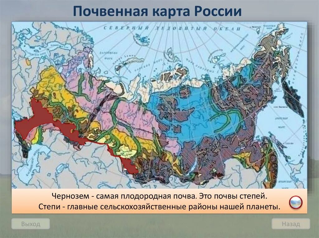 Карта плодородия почв России. Типы почв России карта. Карты карта почв России. Плодородные почвы России на карте. Порядок почв с севера на юг