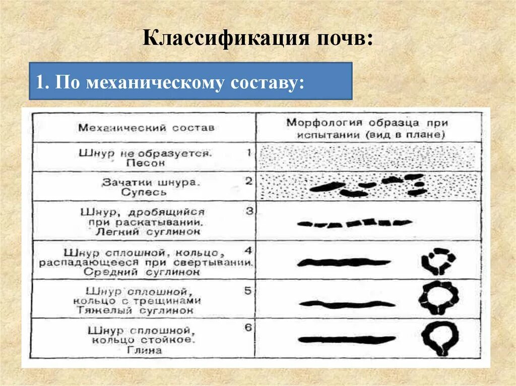 Классификация механического состава почвы. Классификация типов почв. Классификация структуры почвы. Механический состав почвы схема. Механический состав почвы 8