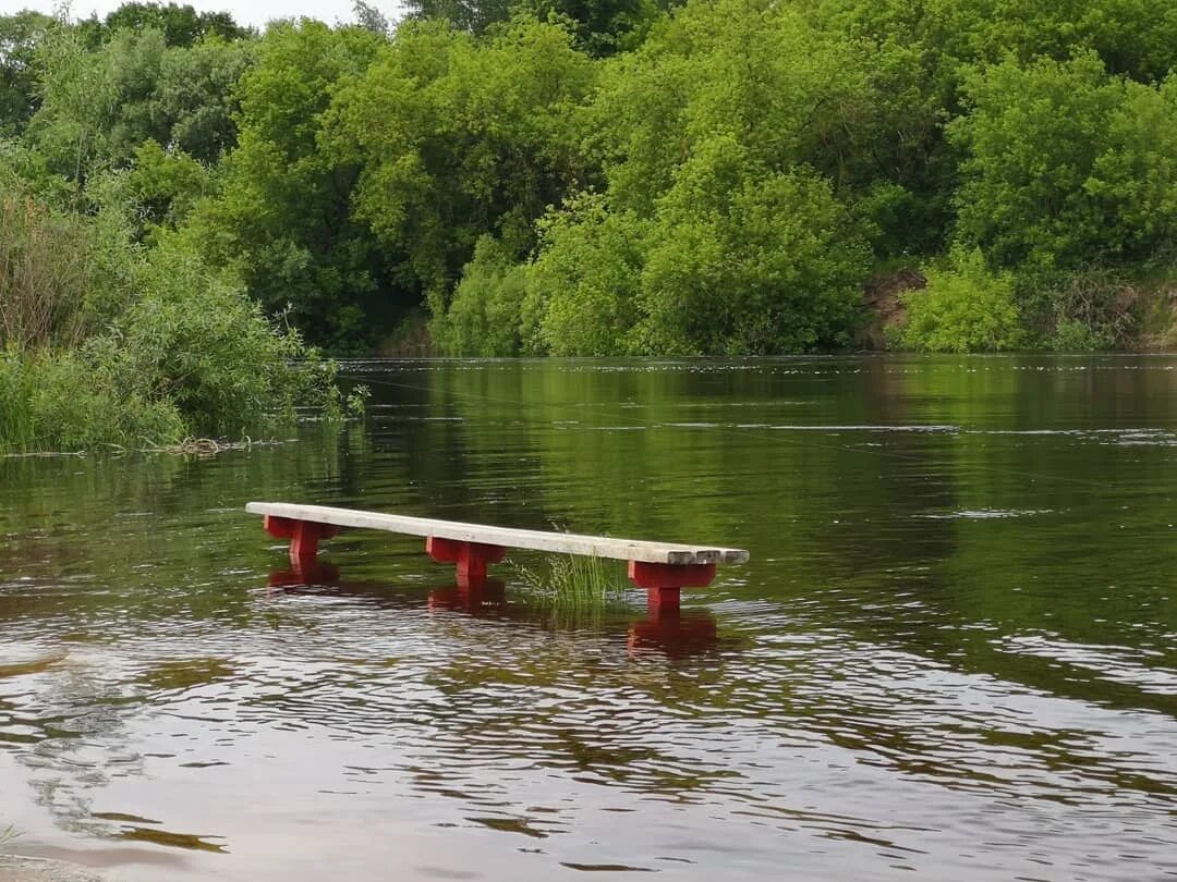 Река Десна Брянск. Река Десна Брянск Центральный пляж мост. Десна река Брянск пляж мост. Река Ипуть. Уровень воды в реке ипуть в добруше