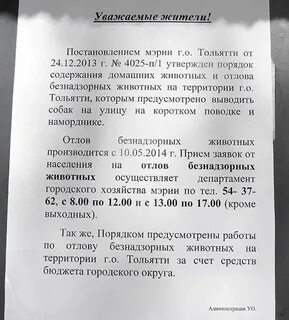Пожаловаться на собак