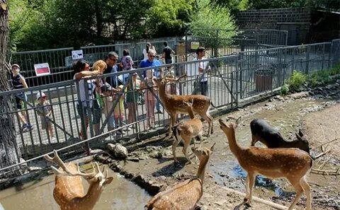 Зоопарк в ереване