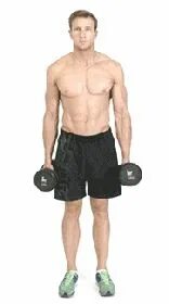 Техника выполнения махов гантелями. Alternating DB Hammer Curls. Alternating Dumbbell Hammer Curls. Подъем гантели. Упражнения с гантелями гиф на бицепс.